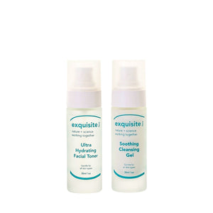 Exquisite Travel Duo - FACE by Gabrielle MancinoExquisite Face & Body
