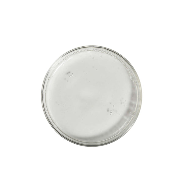 Multi - Bioactive Mela - Prep Lotion - FACE by Gabrielle MancinoEnviron Skin Care