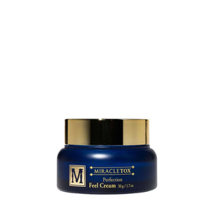 Perfection Feel Cream - FACE by Gabrielle MancinoBeyond Miracles